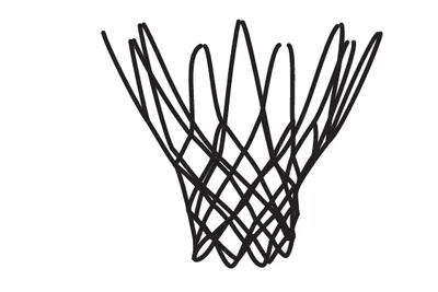 Center - Basketball net