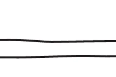 Belt with buckle